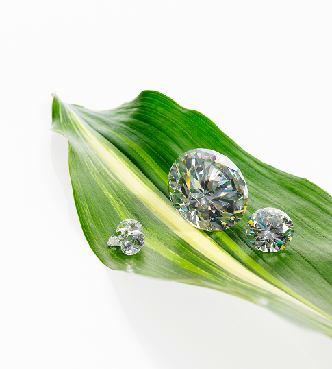 Nature In Harmony With Lab-Created Diamonds